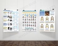 Tablice dydaktyczne, e-book, Sprawdź swoją wiedzę 2, SUZI, FRK.01, FRK.02, FRK.03, fryzjer, technik usług fryzjerskich, pracownik pomocniczy fryzjera, konturowanie twarzy kolorem, kształty bród, schematy strzyżeń damskich