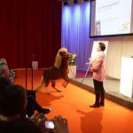 Daniela Ben Said, fot. Alois Müller Daniela Ben Said, fot. Alois Müller